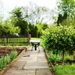 Orto in casa: consigli per allestirlo